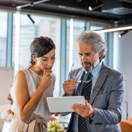 Advisory Services Governance & Prozesse